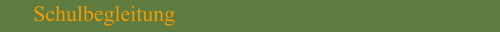 Schulbegleitung