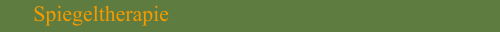 Spiegeltherapie